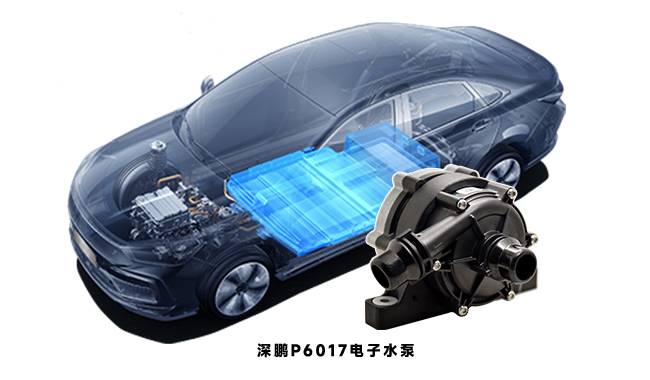 探秘電動汽車水泵：種類、應(yīng)用與原理全知曉